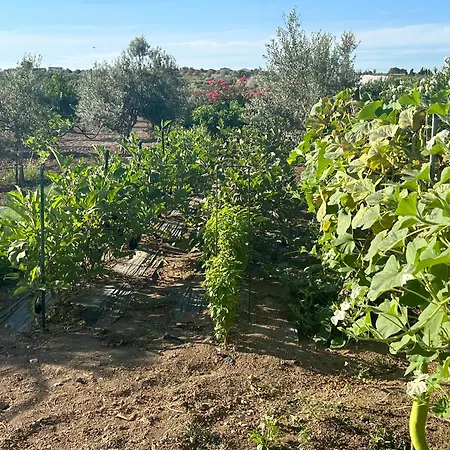 Baglio Il Gelso E L'ulivo Il Carrubo Apartment